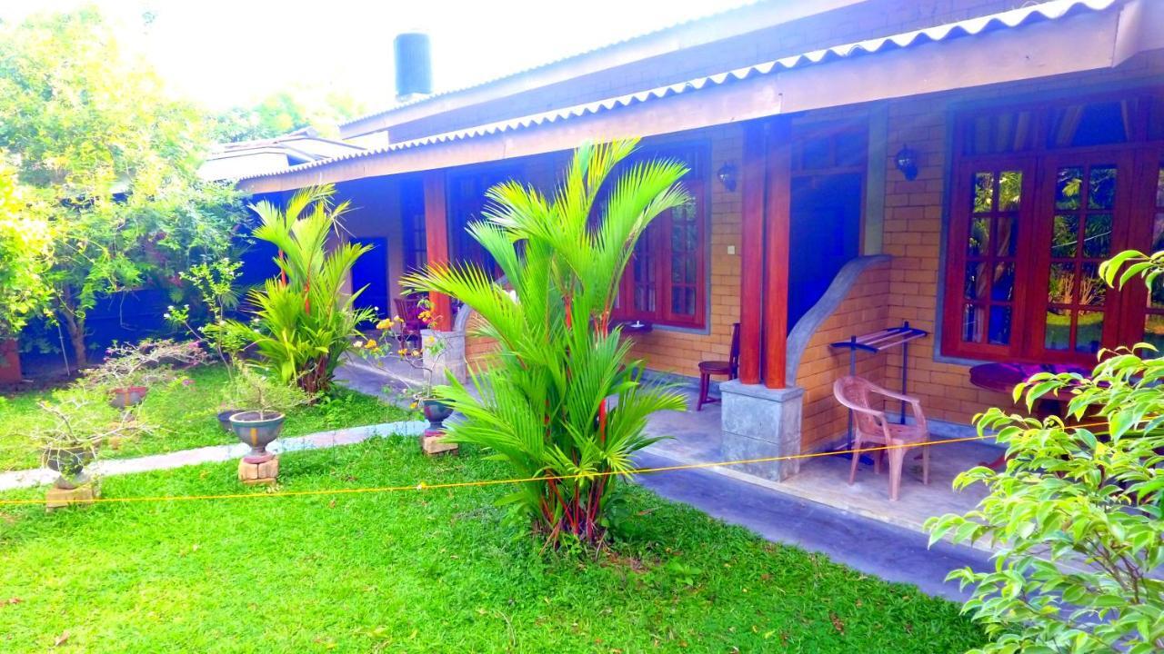 Dandelion - Unawatuna Buitenkant foto